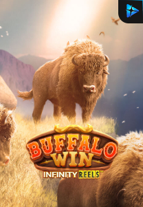 Bocoran RTP Buffalo Win Infinity Reels di TOTOLOKA88 Generator RTP SLOT 4D Terlengkap